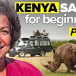 Kenya Safari Guide 2026 The Ultimate First-Timer
