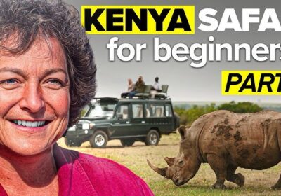 Kenya Safari Guide 2026 The Ultimate First-Timer