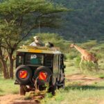 Kenya Travel Guide 2026 Destinations, Experiences tips