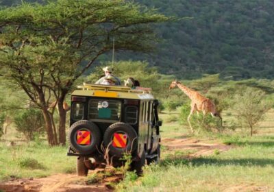 Kenya Travel Guide 2026 Destinations, Experiences tips